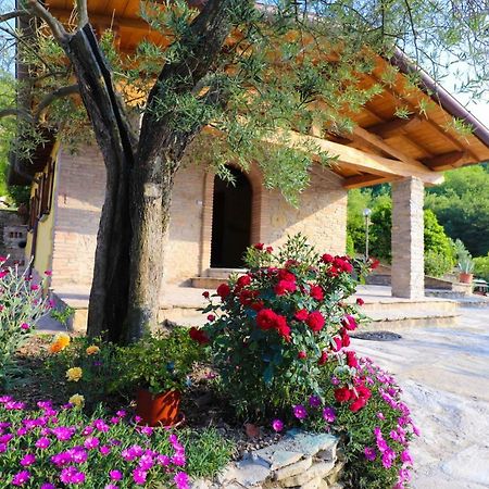 Agriturismo La Tana Città di Castello Dış mekan fotoğraf