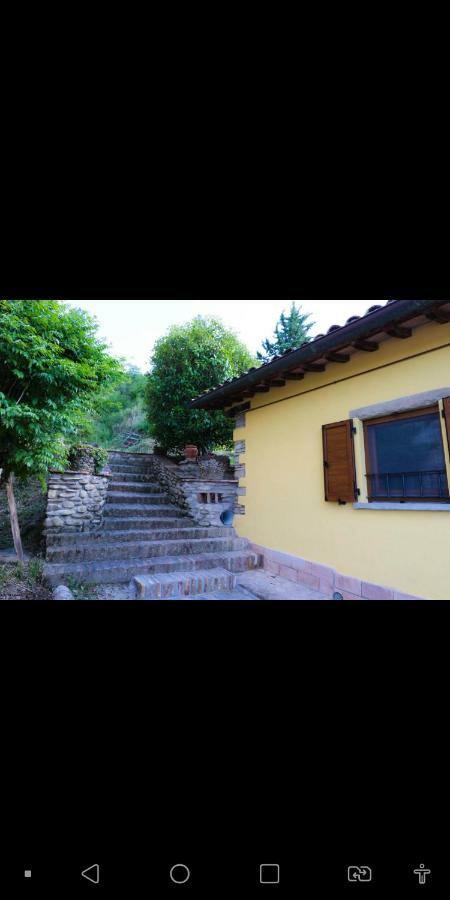 Agriturismo La Tana Città di Castello Dış mekan fotoğraf