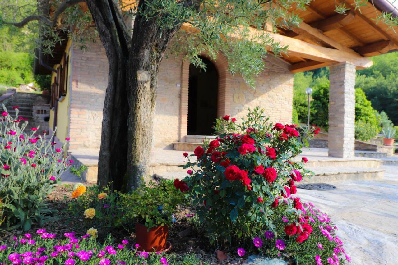 Agriturismo La Tana Città di Castello Dış mekan fotoğraf